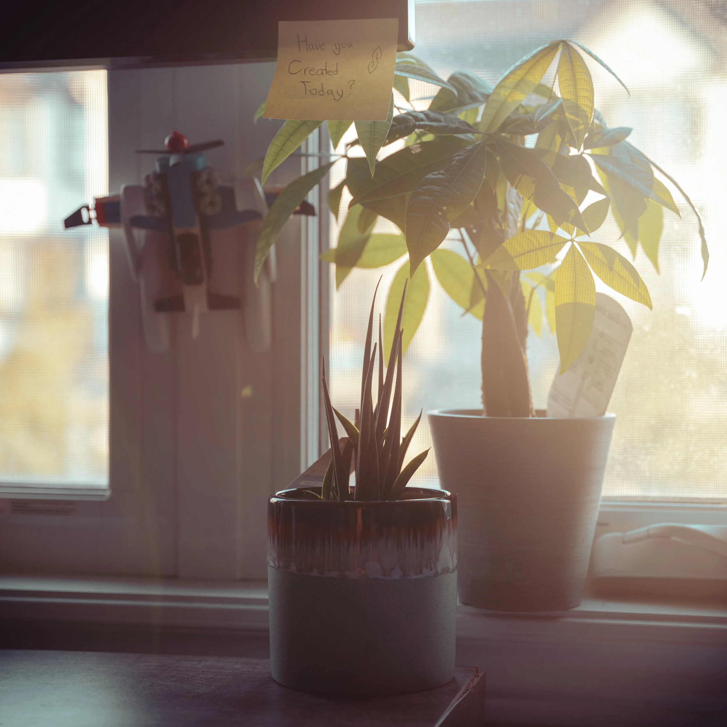 Tranquil Morning
