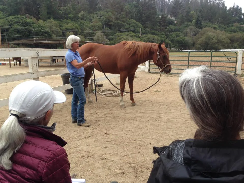 Sandy Vreeburg at our Advanced Course in CA