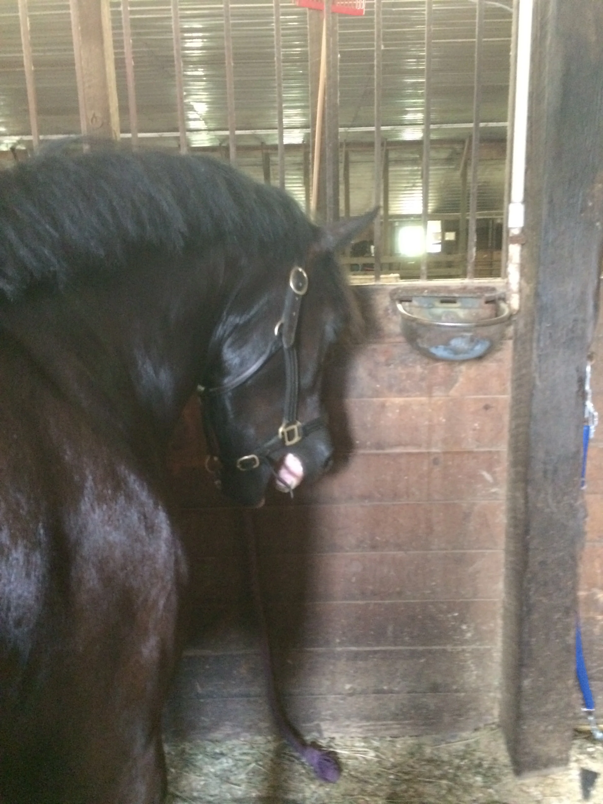 The inevitable yawn... so satisfying!