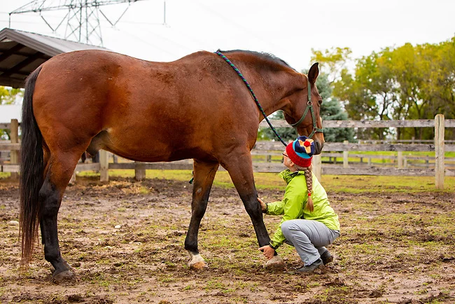 Scapula release (in the mud)