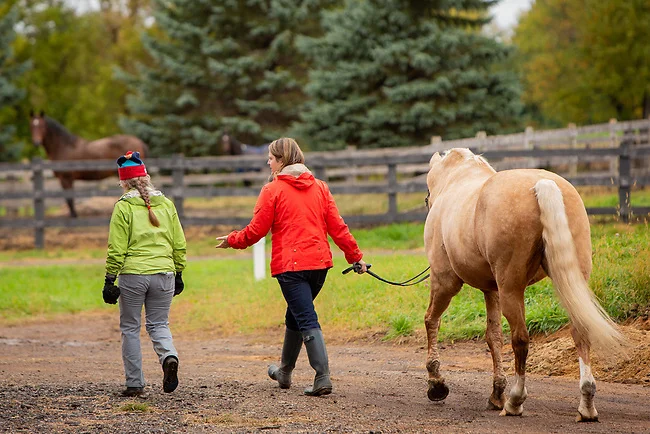 Love the horses and the people!