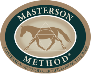 Equine Bodywork