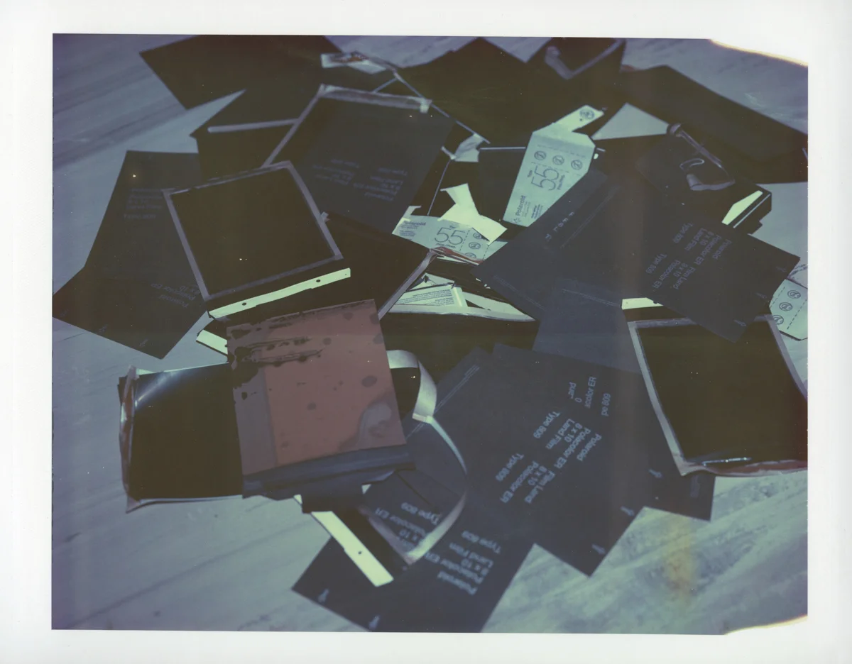 Exposure #13 • Waltham, MA (Polaroid Factory) • 2009 • Expired Polaroid 809 • 8.5"x11"