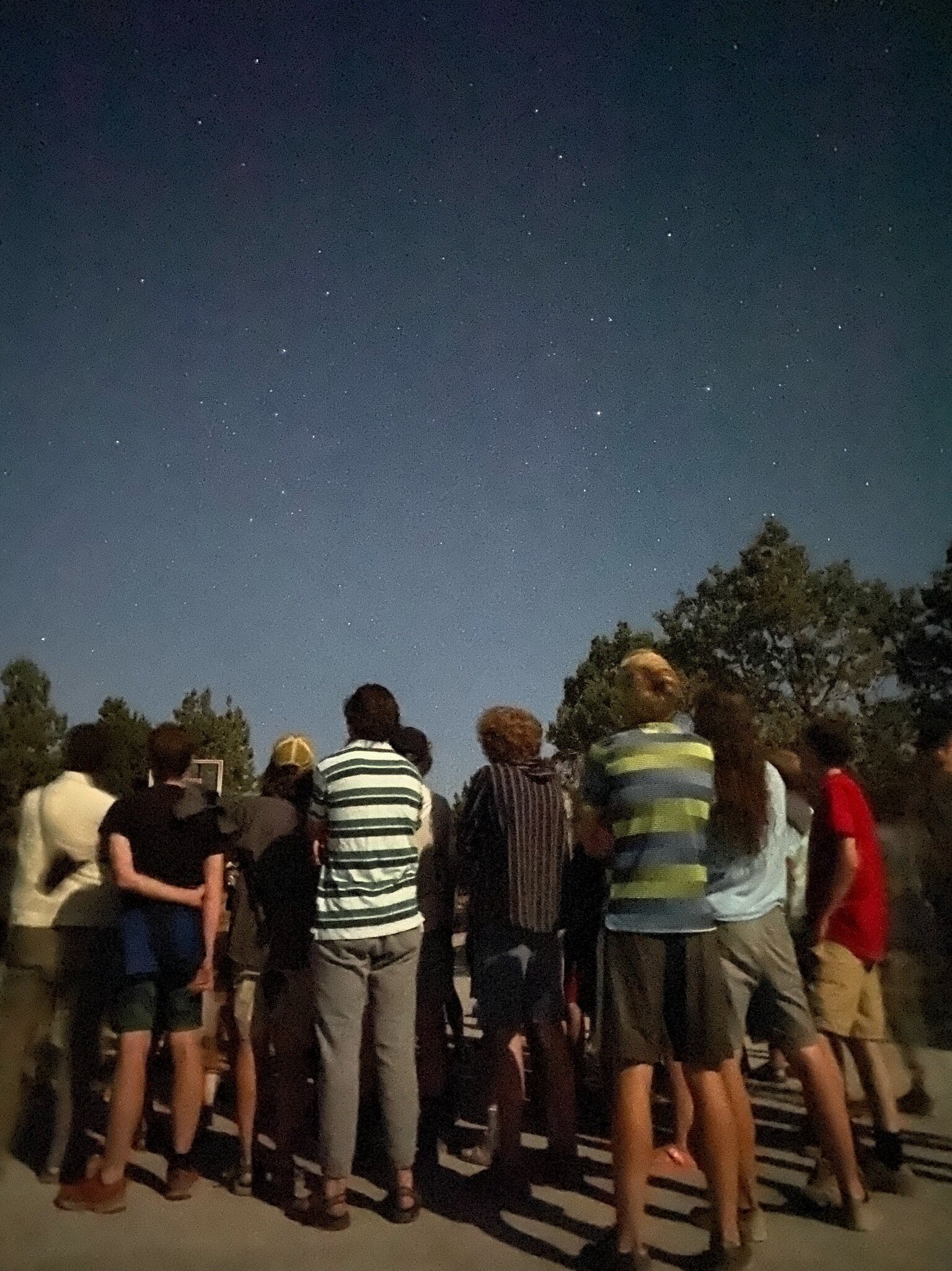 star gazing.JPG