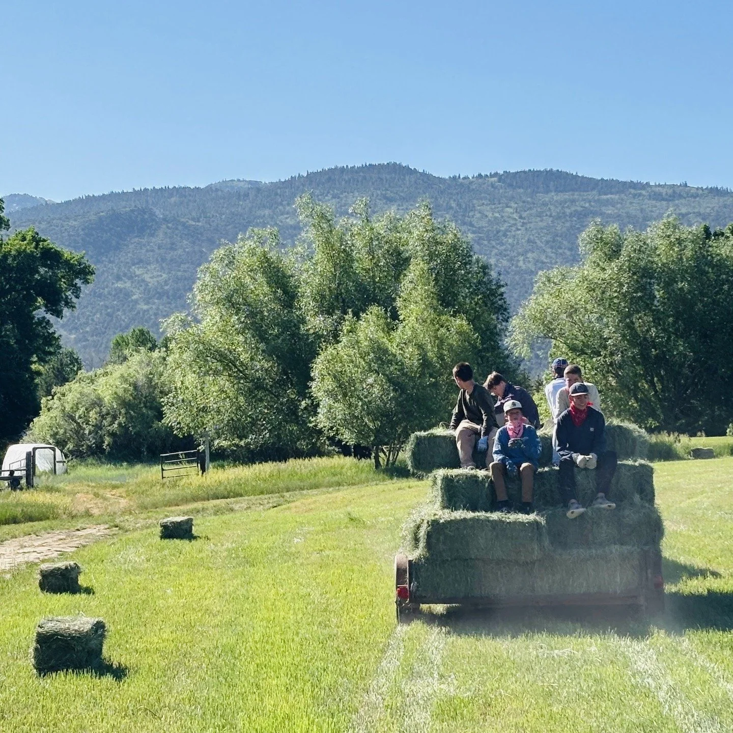 🌄 Good people of Birch Creek&hellip;

If you ever bucked hay, washed dishes, hiked trails, led campers, or sat around a campfire at the Ranch &mdash; this is for you.

We&rsquo;re rebuilding the Birch Creek Alumni community and we would love to reco