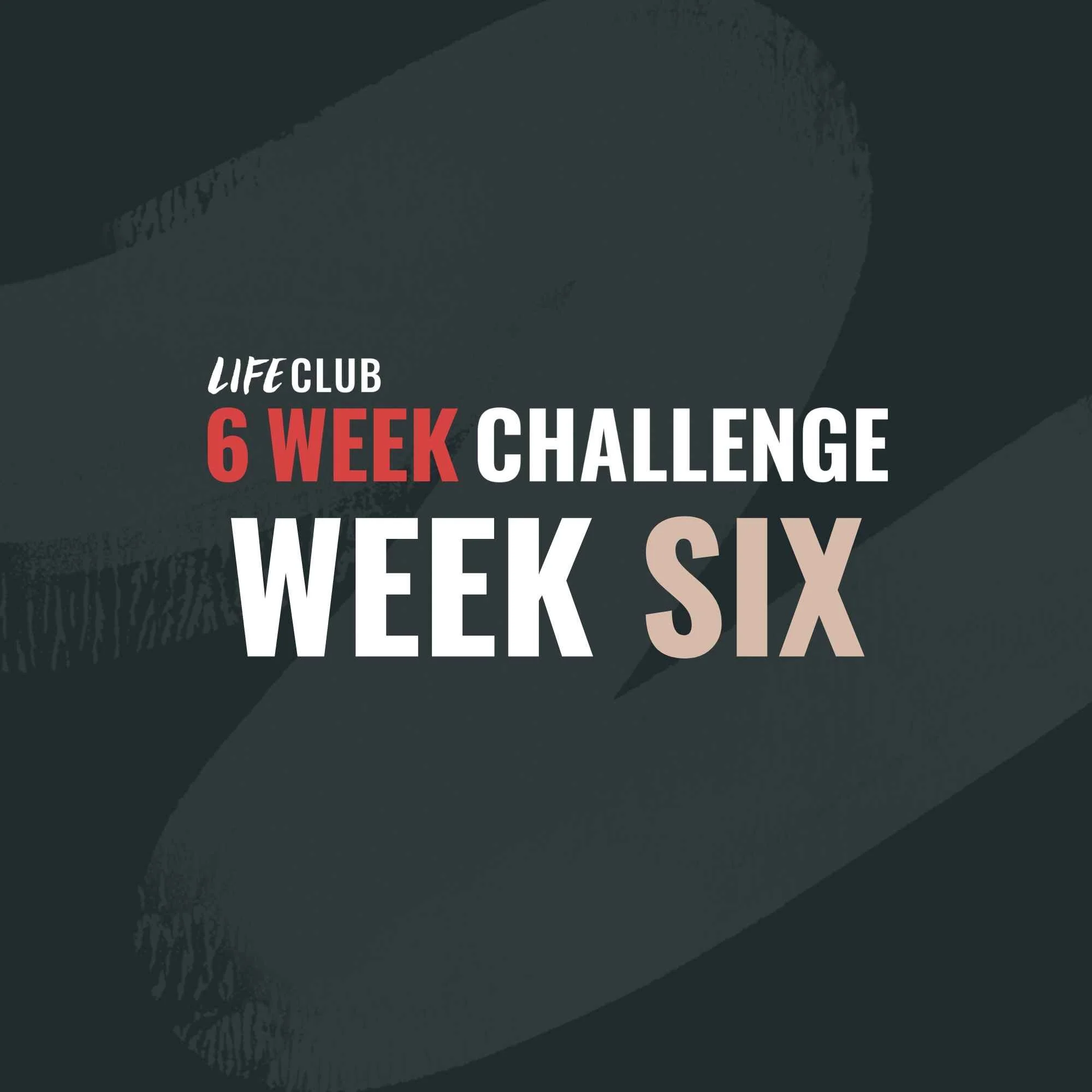 Week 6