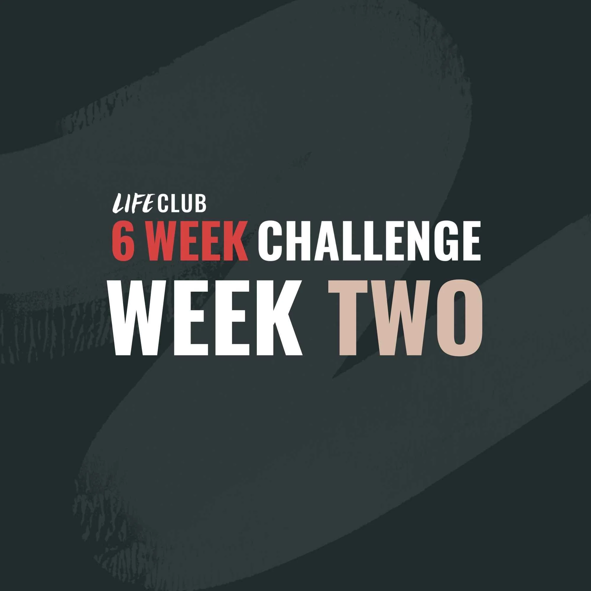Week 2