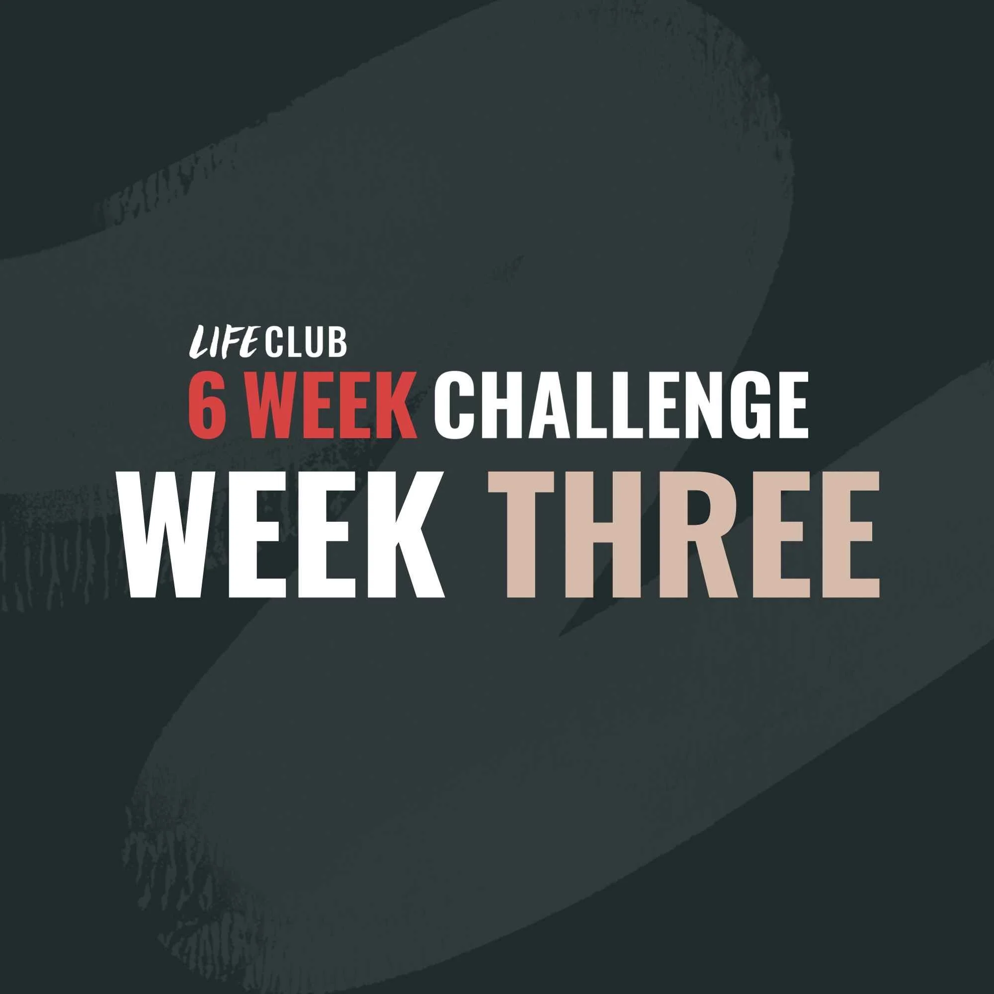 Week 3