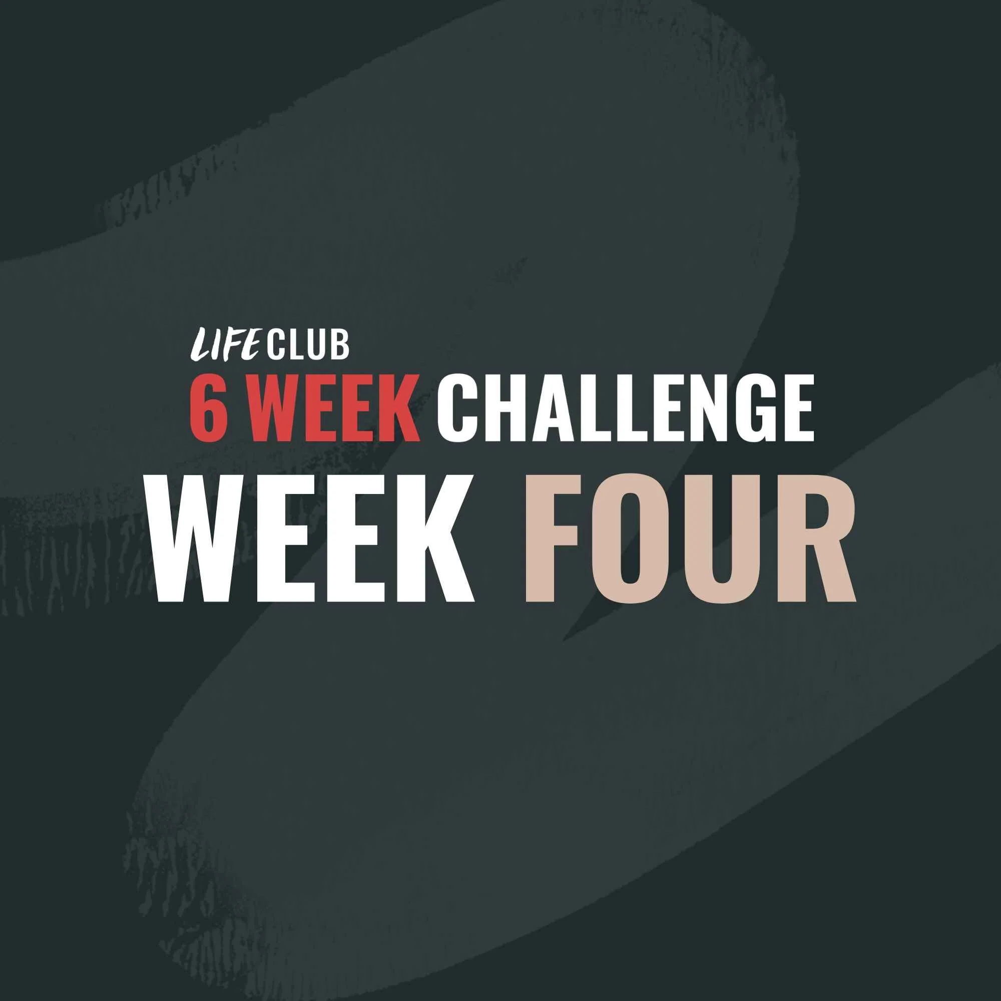 Week 4
