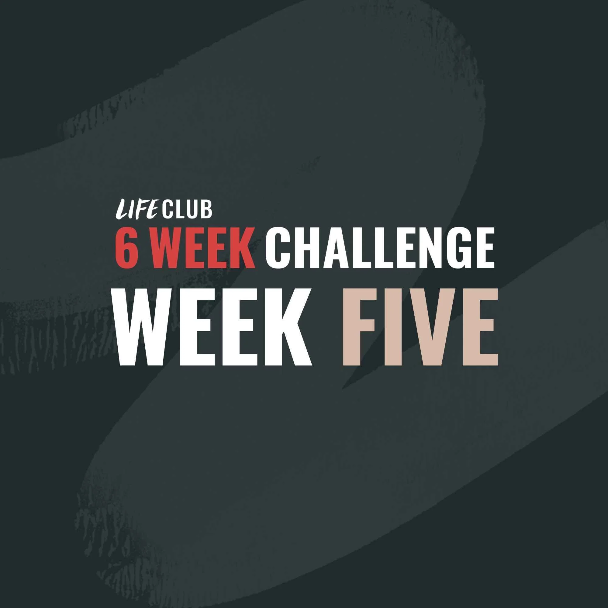 Week 5