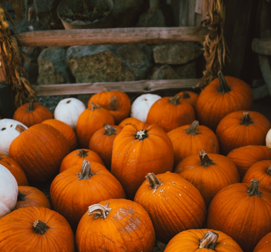 Gifts for Halloween?