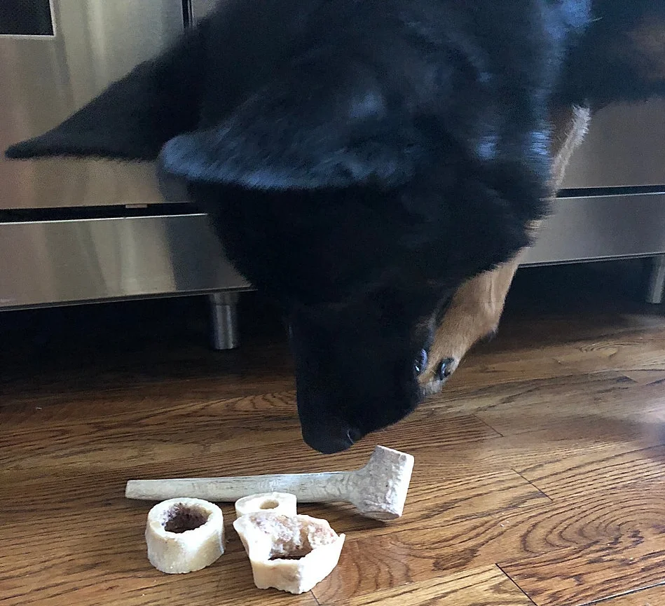 Bones and Antlers under the stove