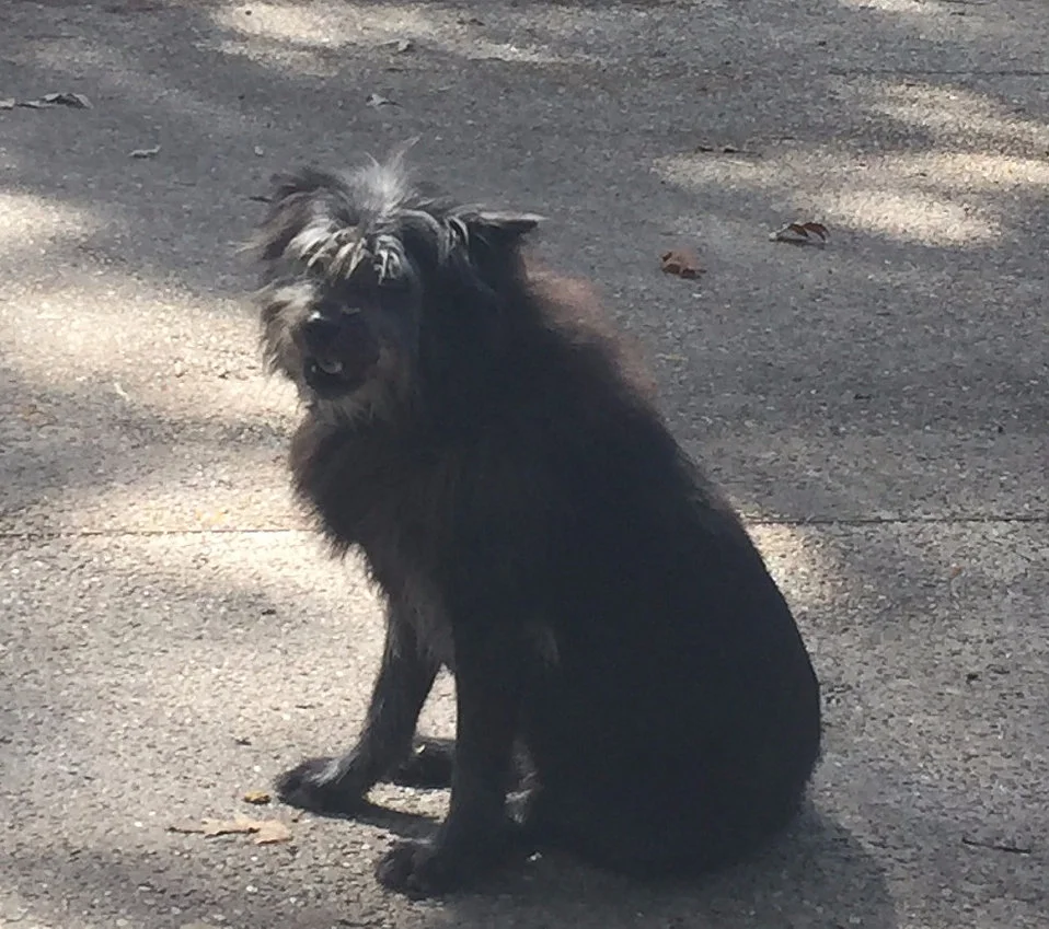 Stories We Tell Ourselves