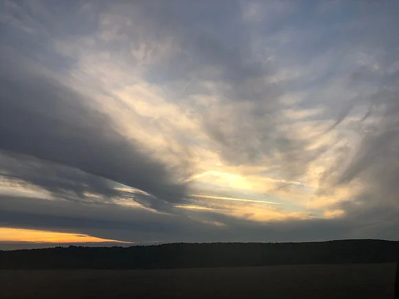 Shedding Light on Fear