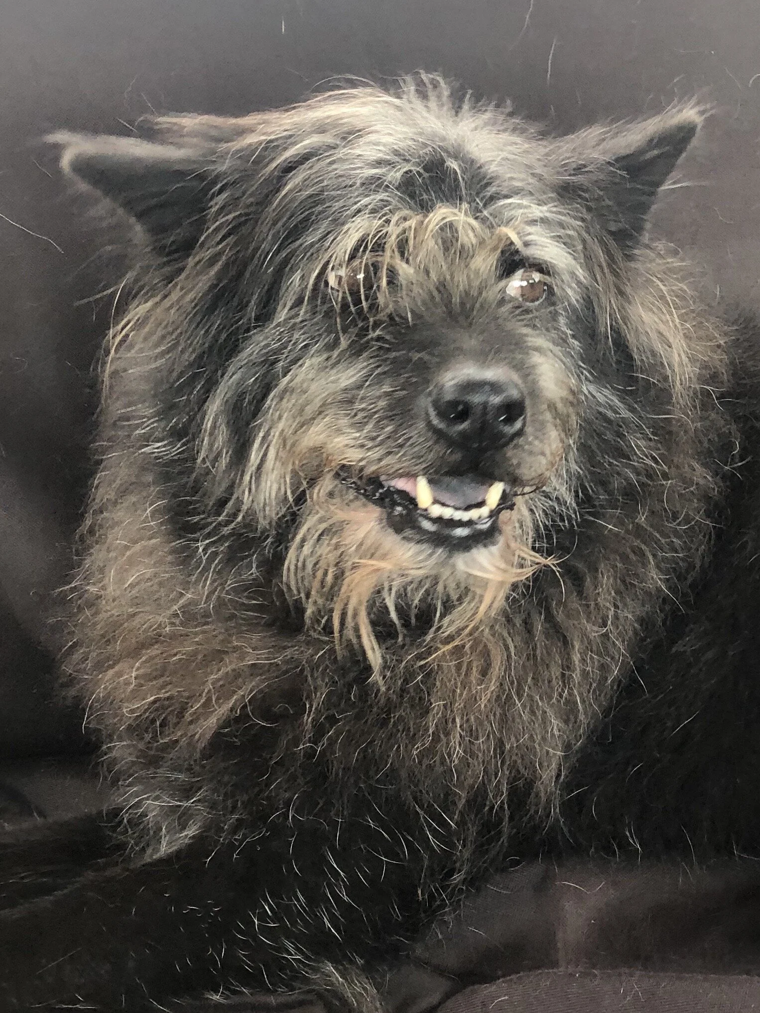 The Amazing Grace of Pancho