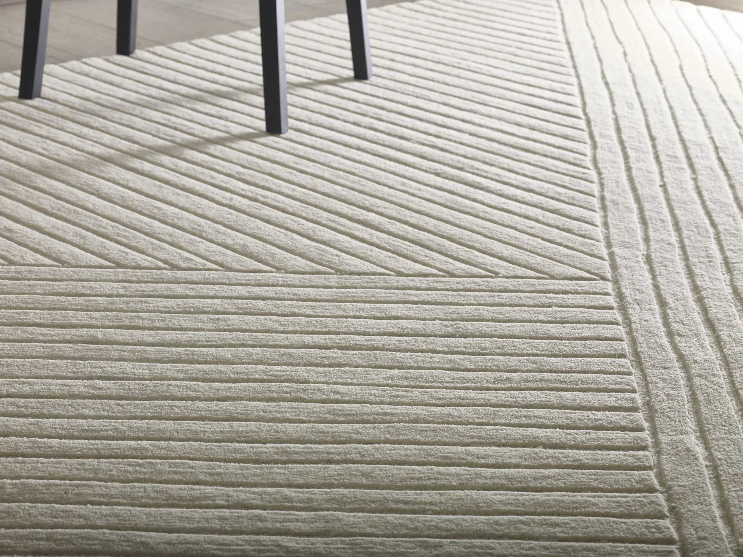 Salvador-Ivory insitu 03.jpg