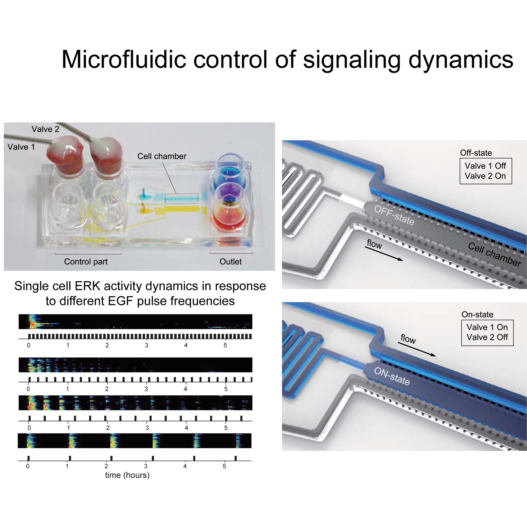microfluidic control 2000x2000 copy.jpg
