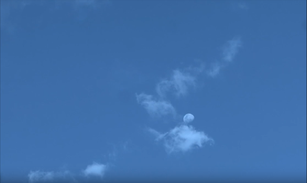 Fallback image.png