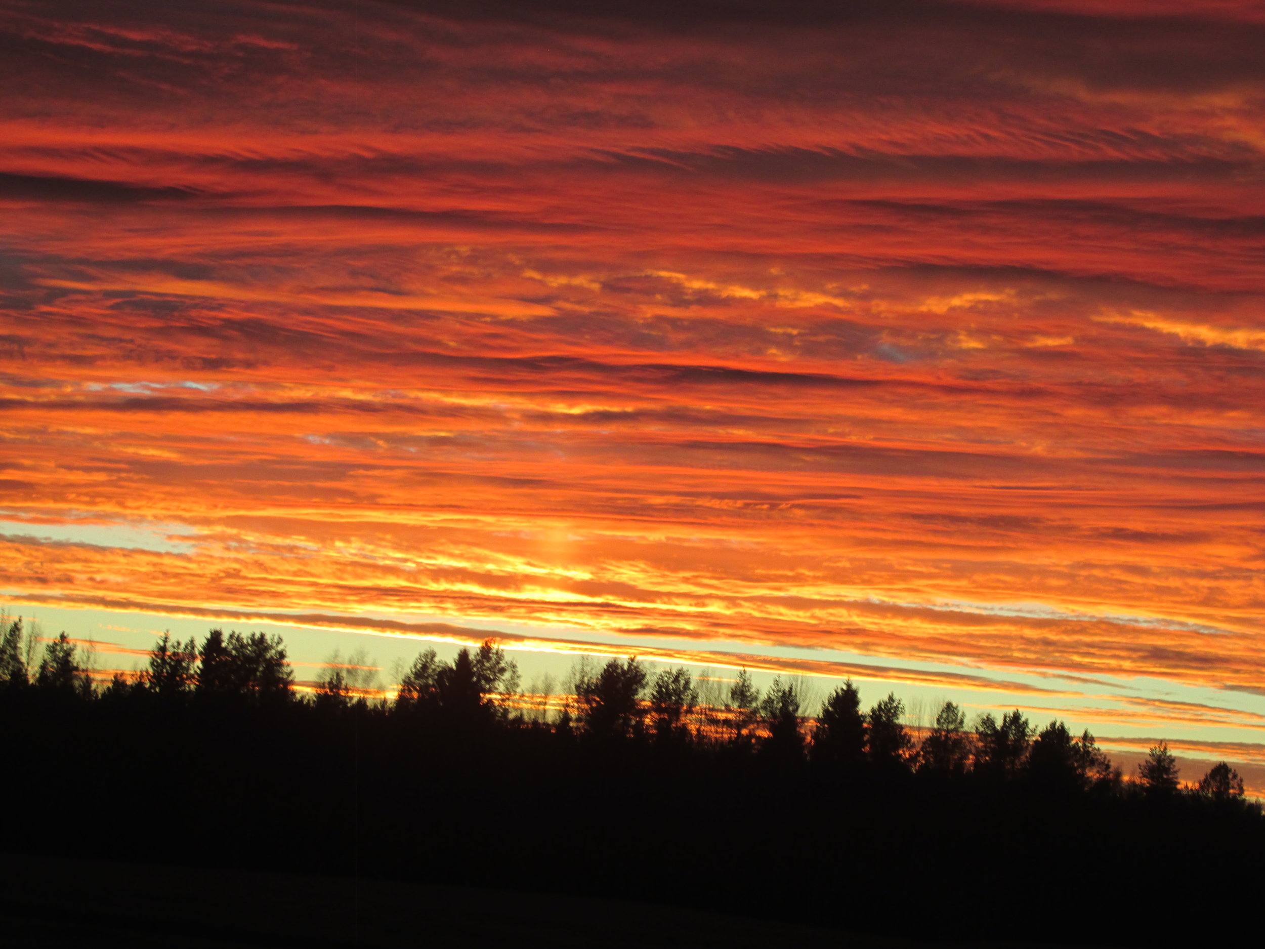 Onko yhteisöllisyys mukana murroskarnevaaleissa?