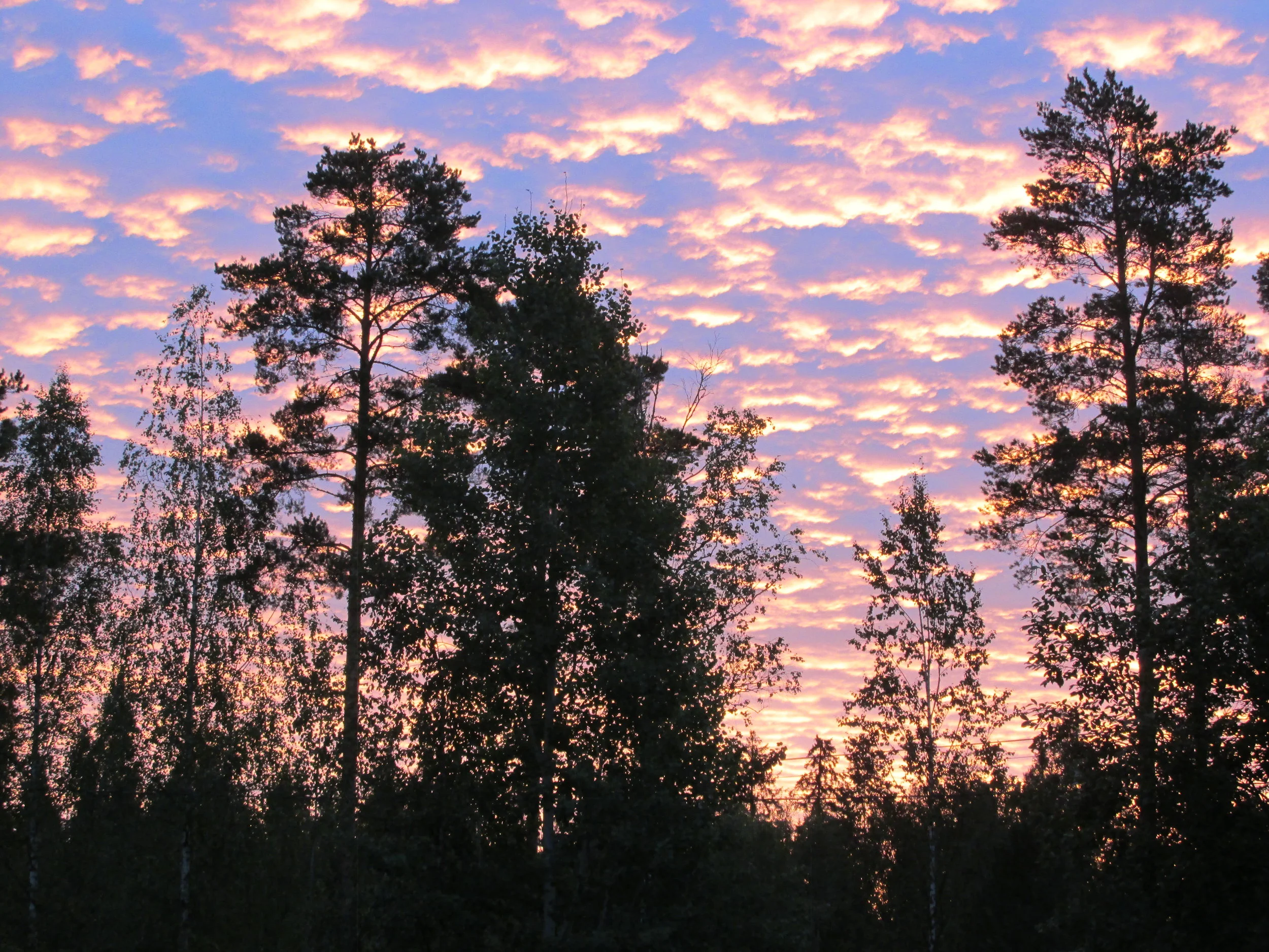 Luonnon vuodenajat vertauskuvana työyhteisön arjessa 