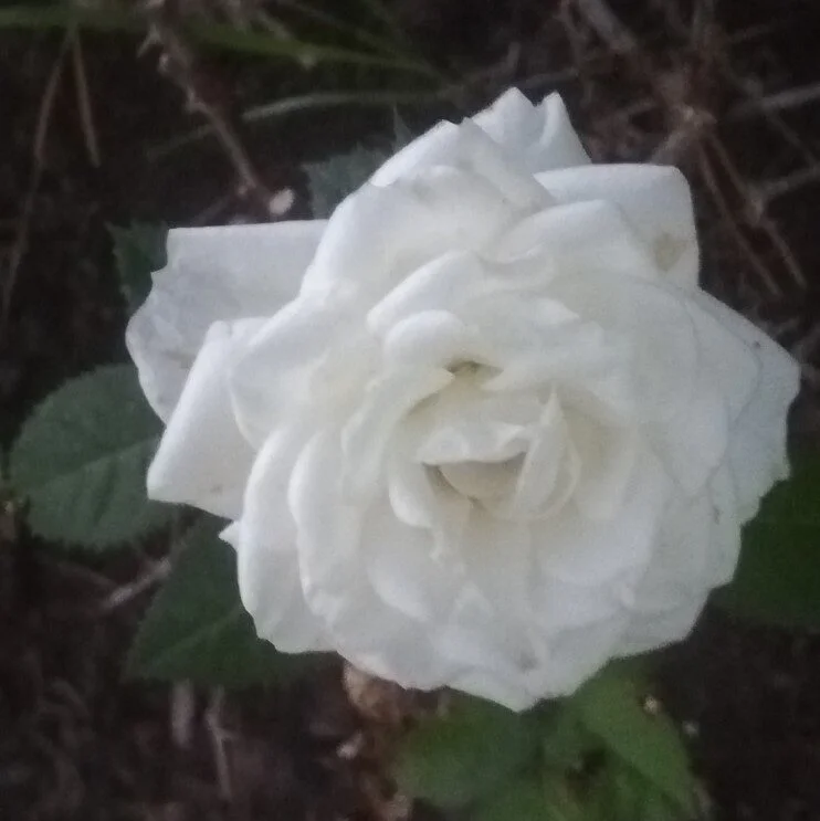 Hyvinvointi tuntuu ja näkyy 