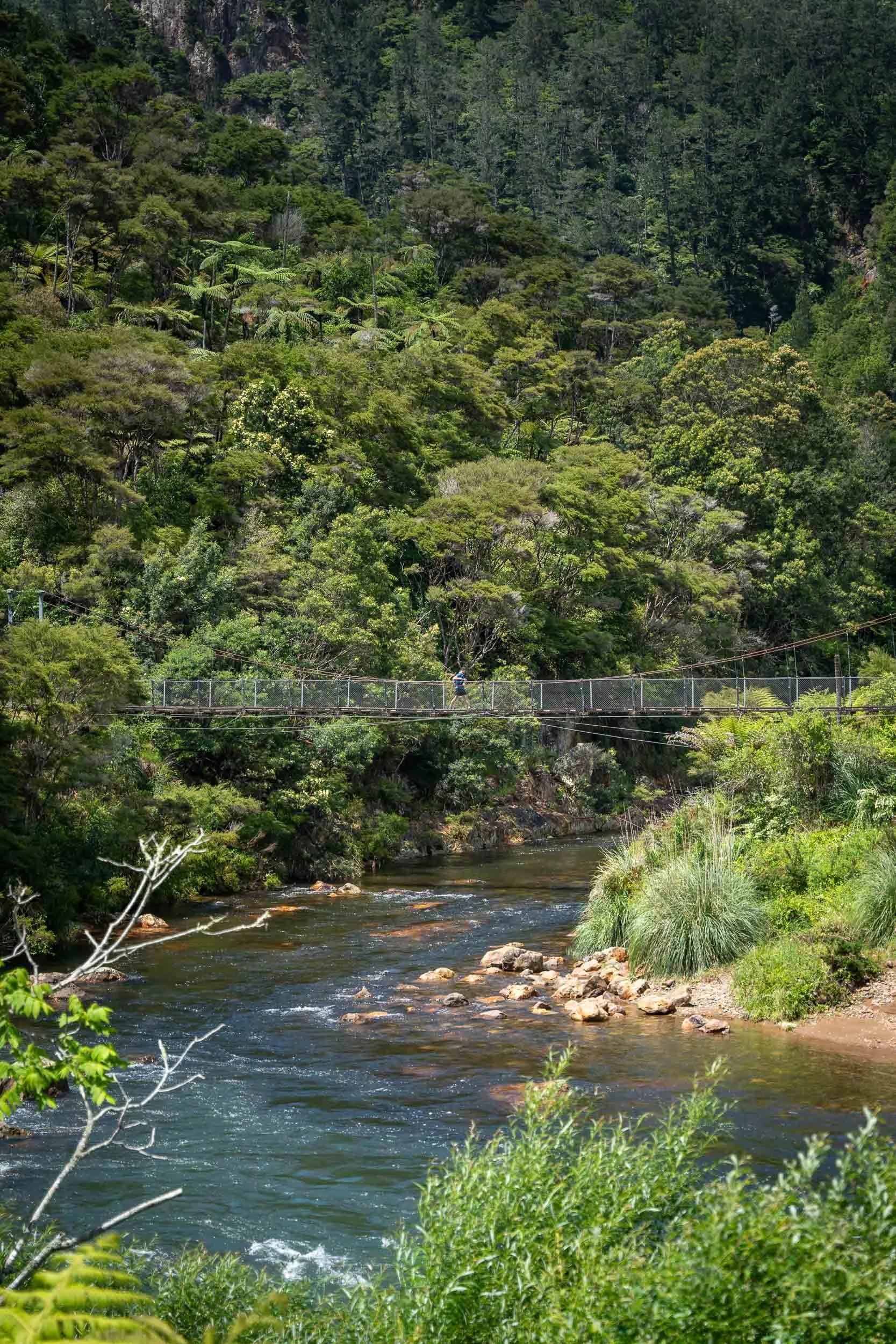 Waihi-04530.jpg