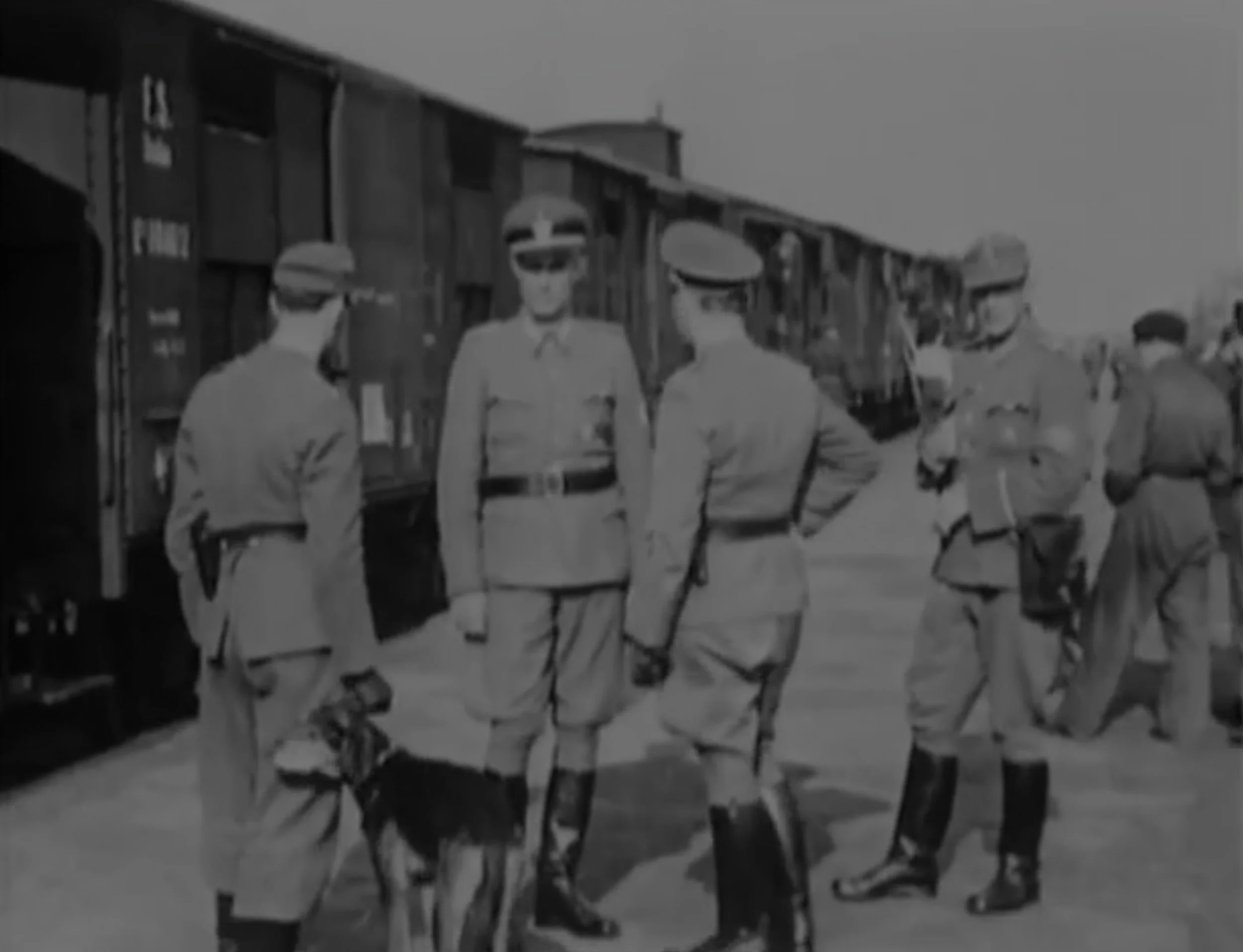 screen_film_zw.jpg