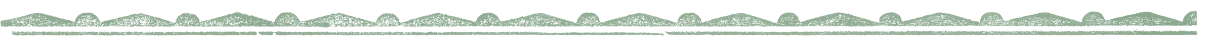 Horizontal_divider 03_green.png
