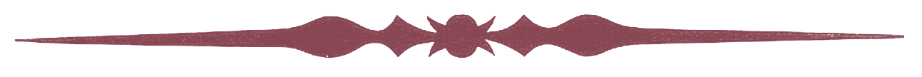 Horizontal_divider 06_red.png