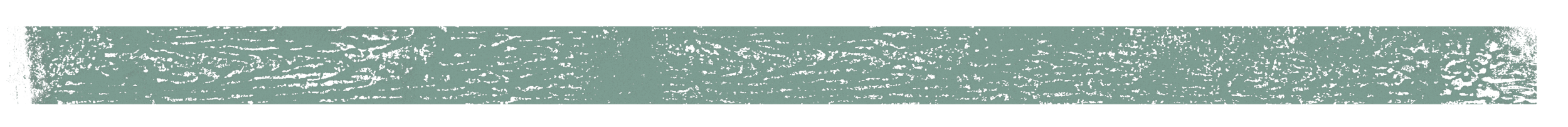 Horizontal_divider 05_green.png