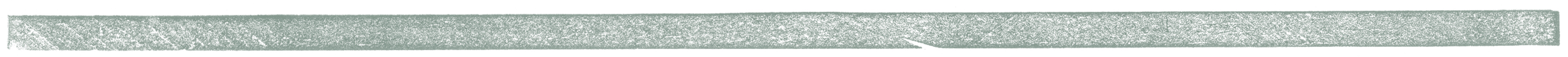 Horizontal_divider 01_green.png