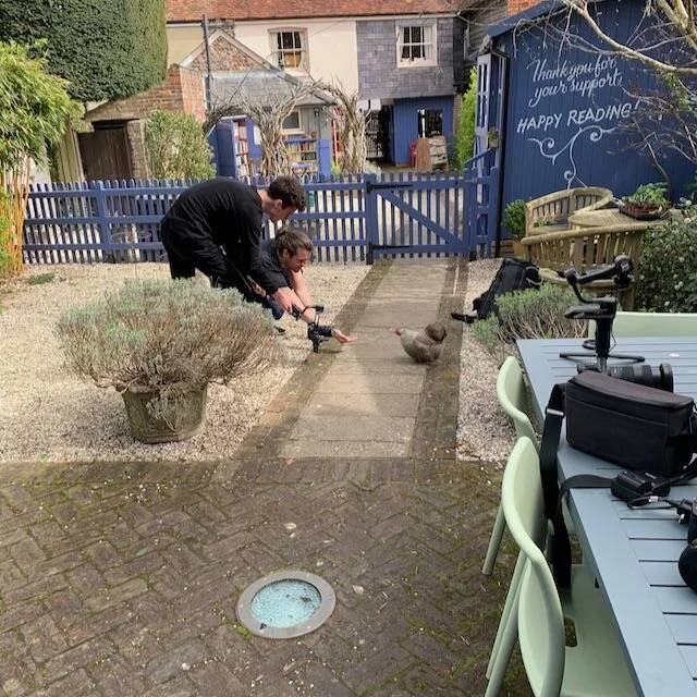 filiming chickens.jpeg