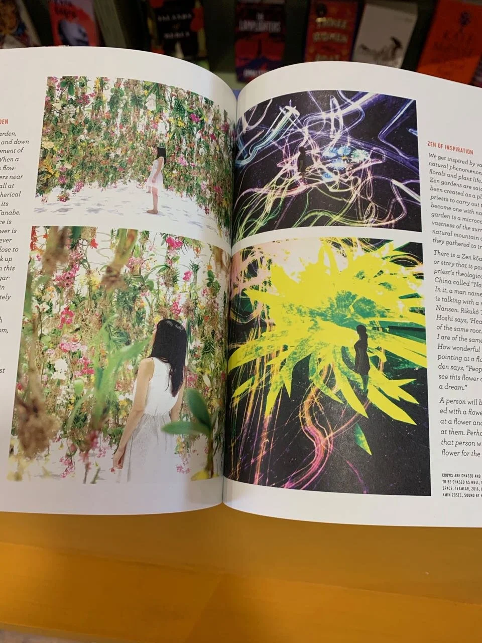 botanica page 3.jpg