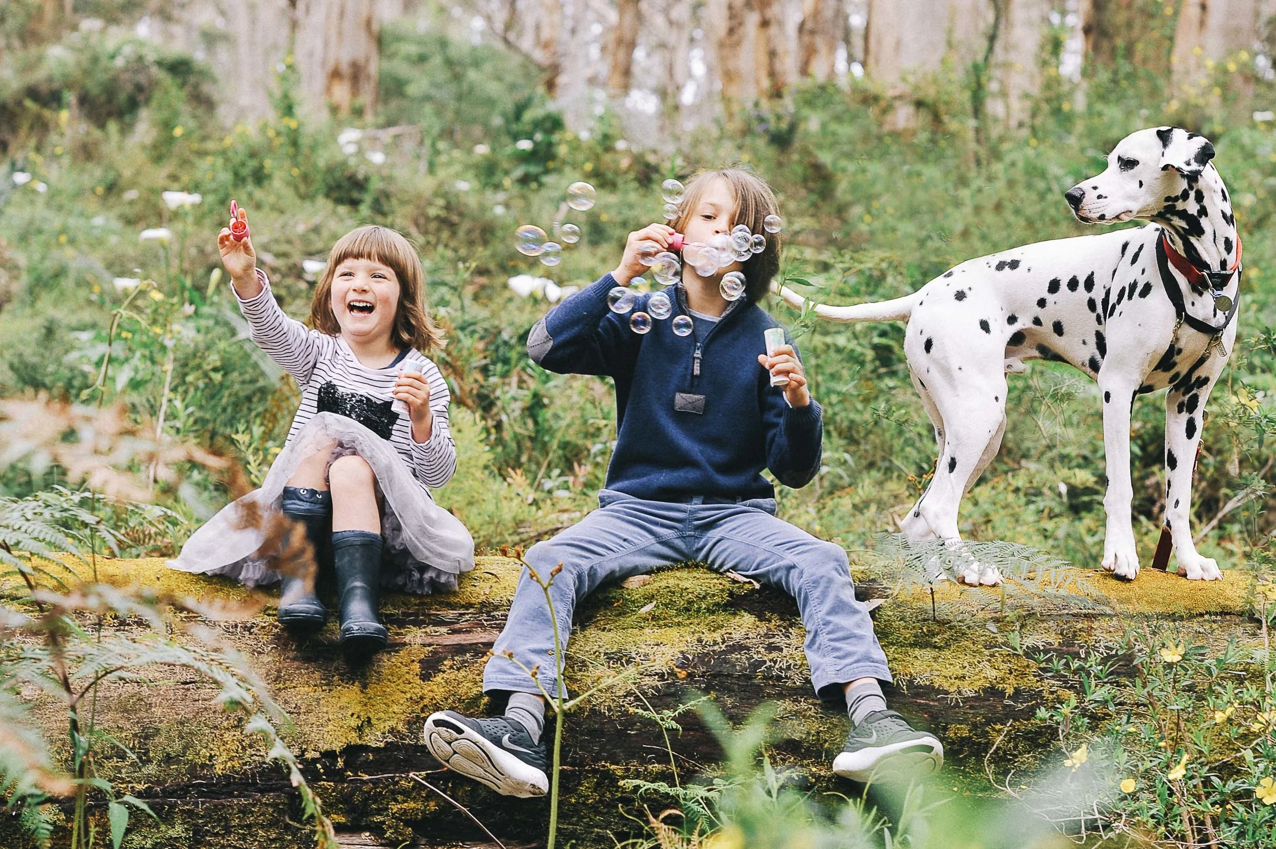 4 ITEMS TO BRING TO HELP INCORPORATE YOUR PET(S) IN YOUR FAMILY PHOTOS
