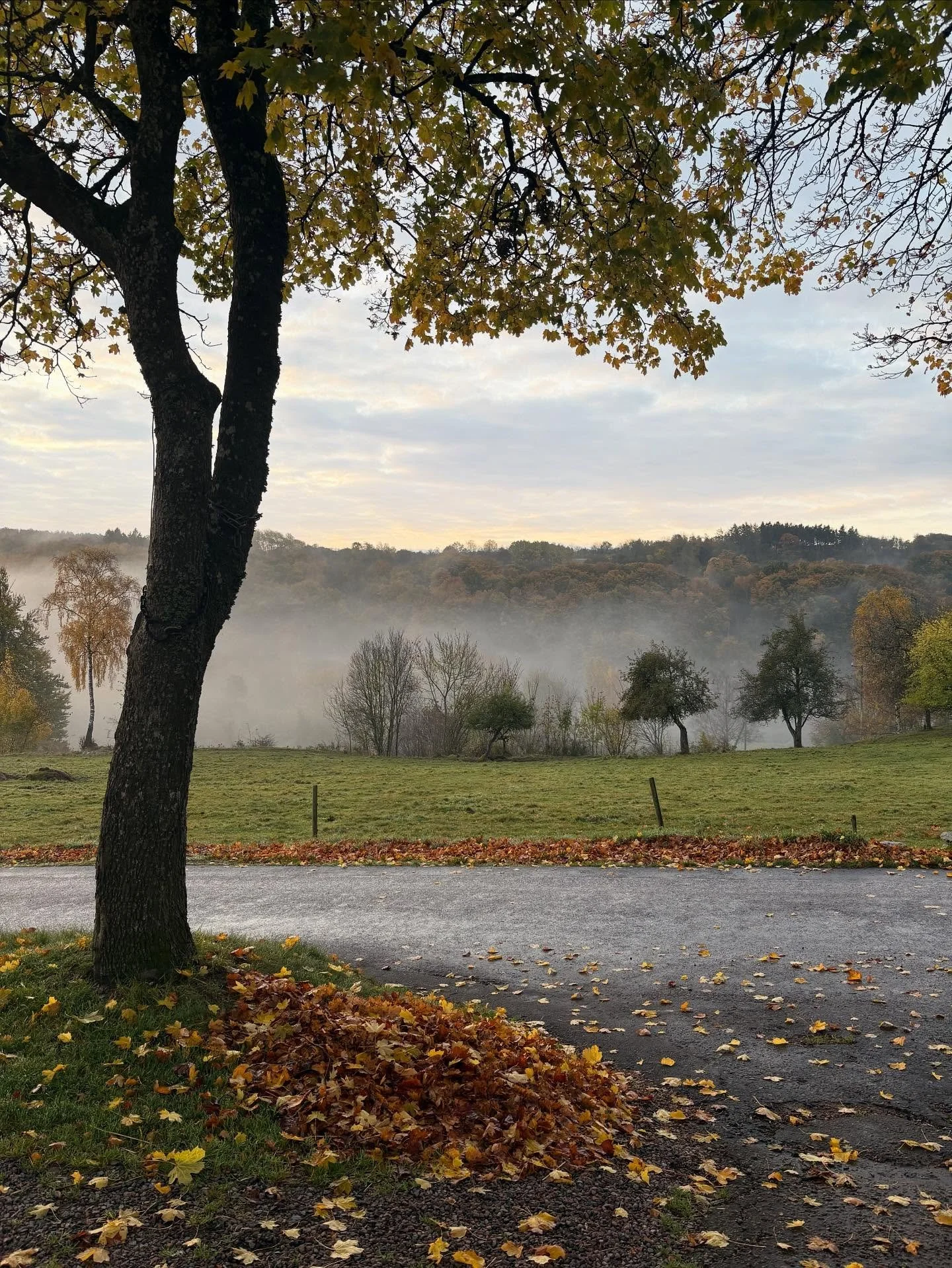 Hösten. Det är en fin tid. Lika vackert med höstens mustiga färger som vårens skira grönska, men inte samma stress. Ändå är det mycket som ska avslutas innan vintern tar vid. 
- Vintervattnet ska grä