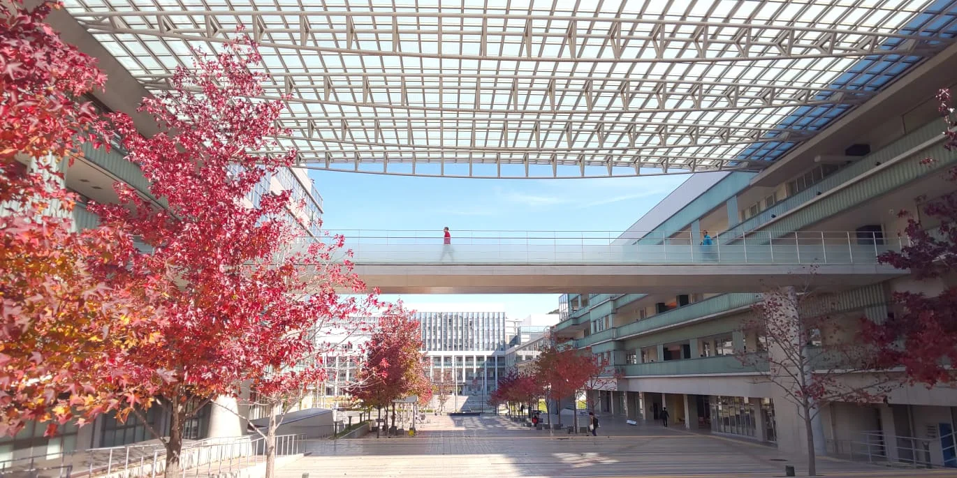 View of center zone, Ito Campus 2018
