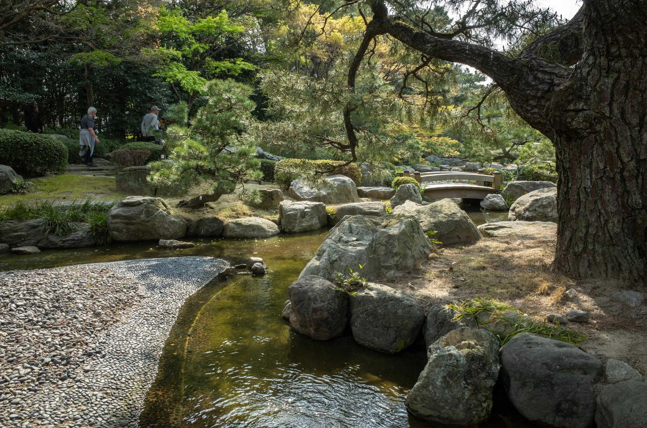 Traditional Japanese Garden at Ohori Park, 2019