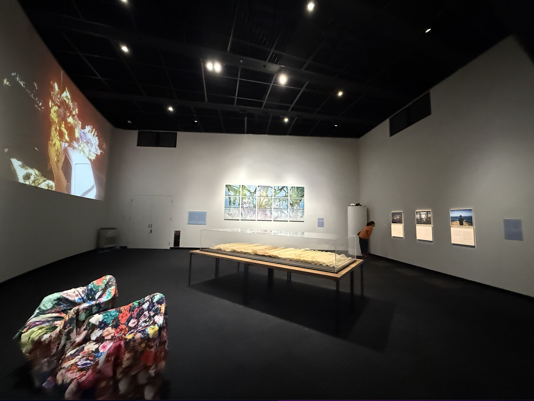 Exhibition %22Interwoven Coasts,%22 2025.12.png