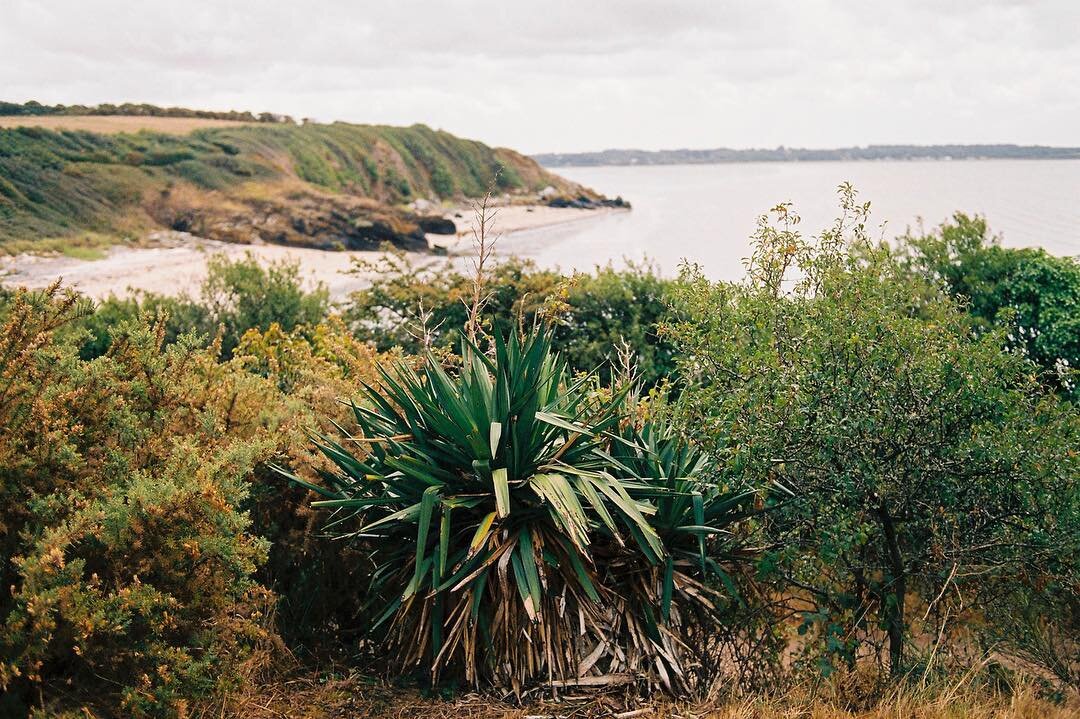#frenchweddingphotographer #analogwedding #filmweddingphotography #filmweddingphotographer #weddingphotojournalism #moodywedding #moodyweddingphotographer #instabride2019 #naturewedding #junebugcommunity #junebugwedding
