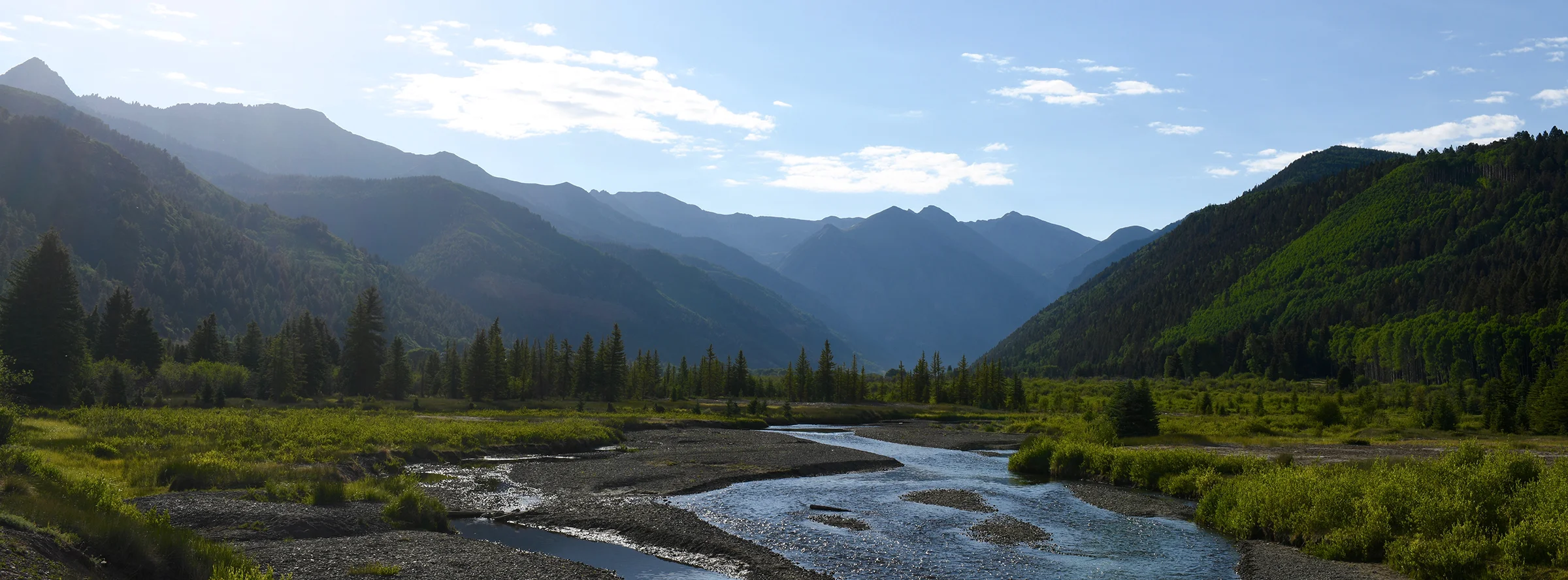 tellurideweb.jpg