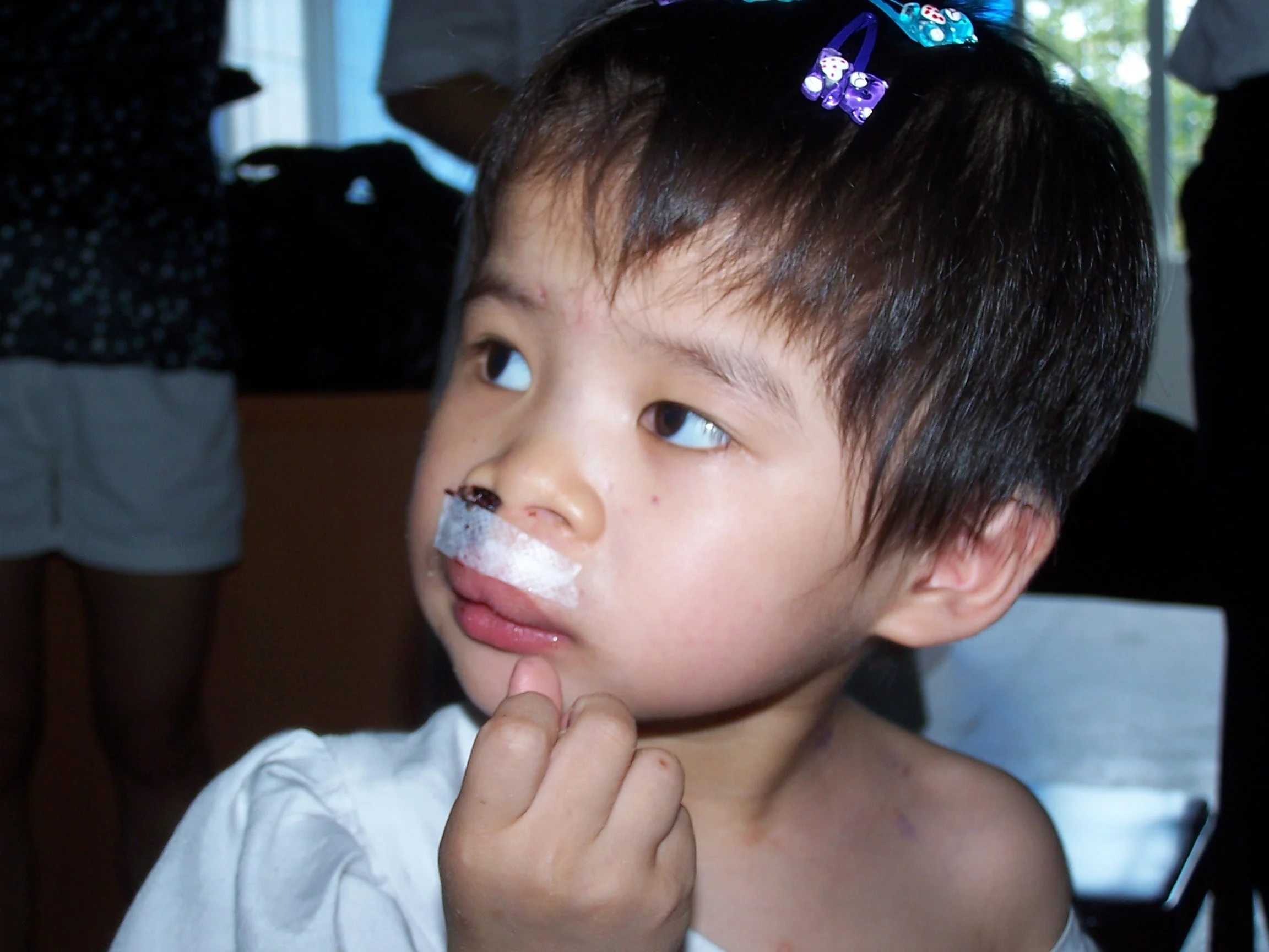 2003 Misc 2004 Misc China Cleft 341 copy.JPG