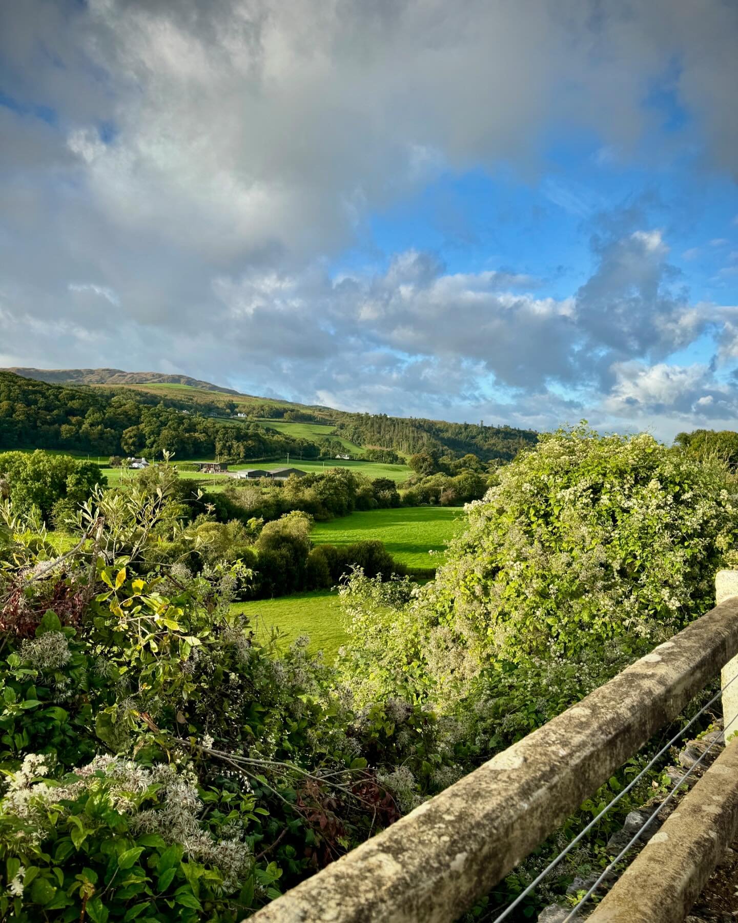 ~ beautiful sunny day in Ireland 🍃