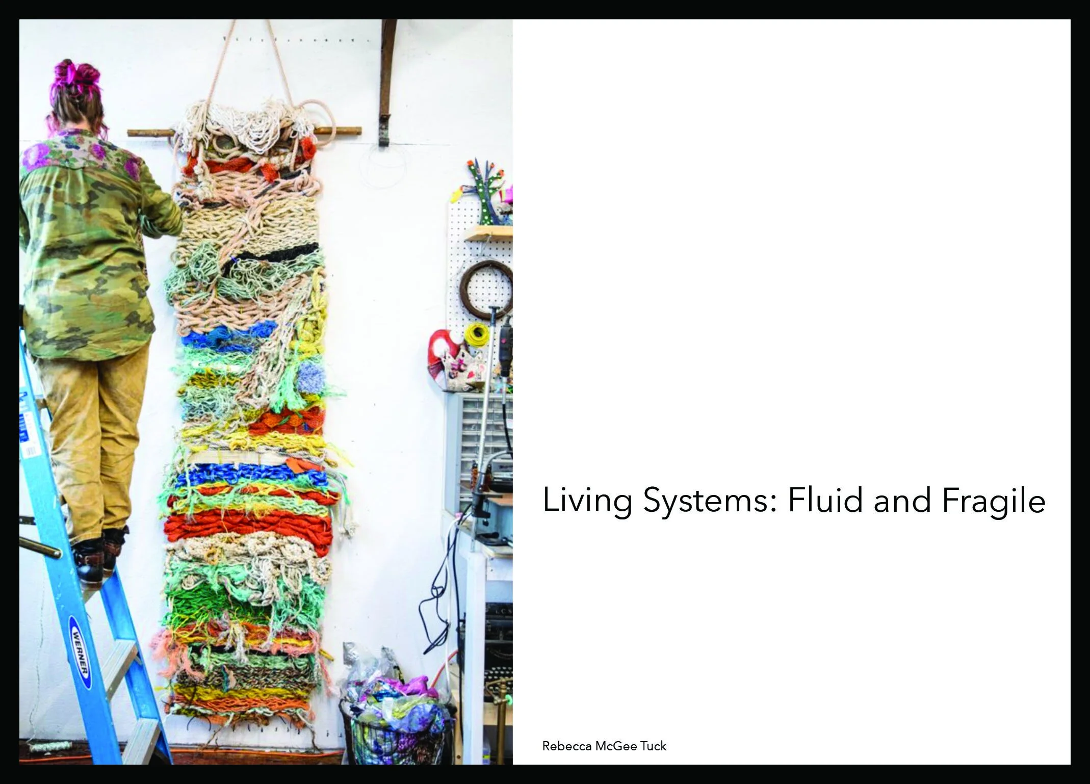 "Living Systems:  Fluid and Fragile"