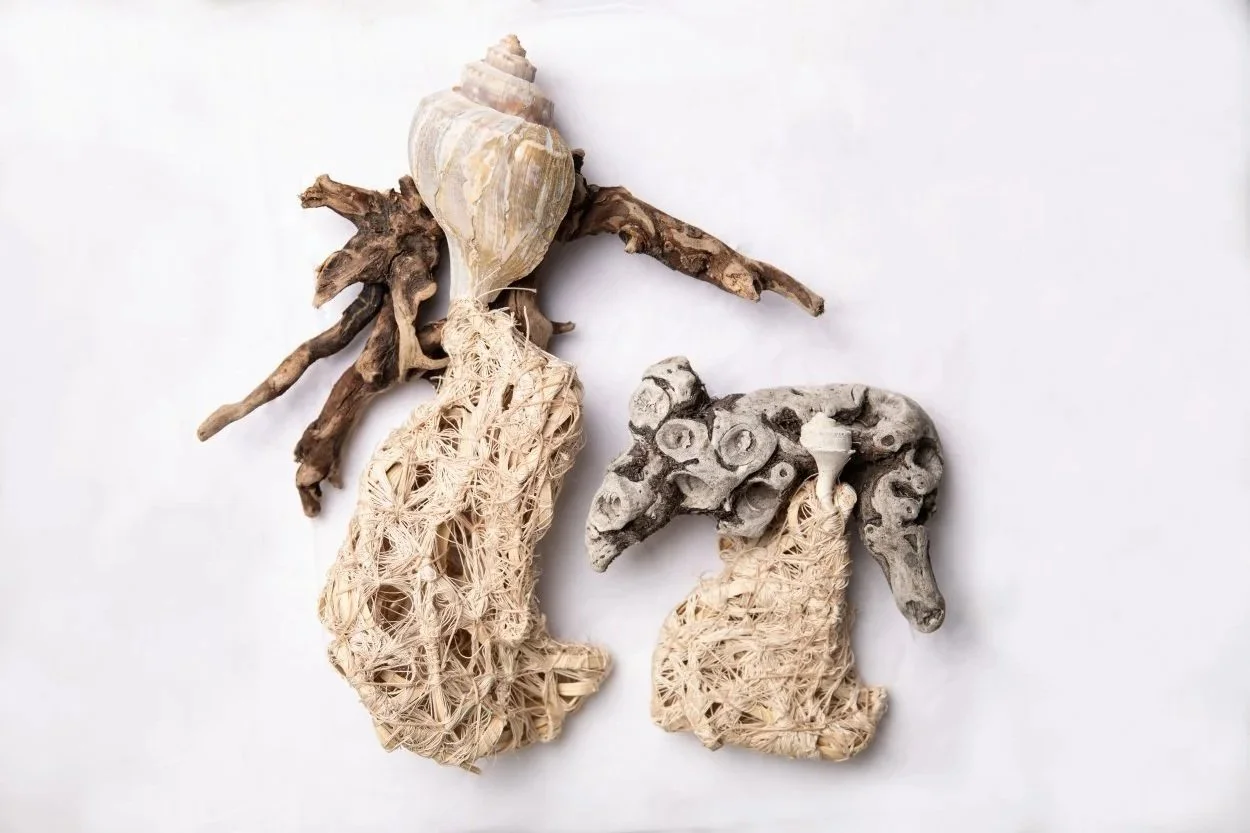 Adaptions" 2025, found natural materials, cotton thread and reed, 19x13x5 varies with installation