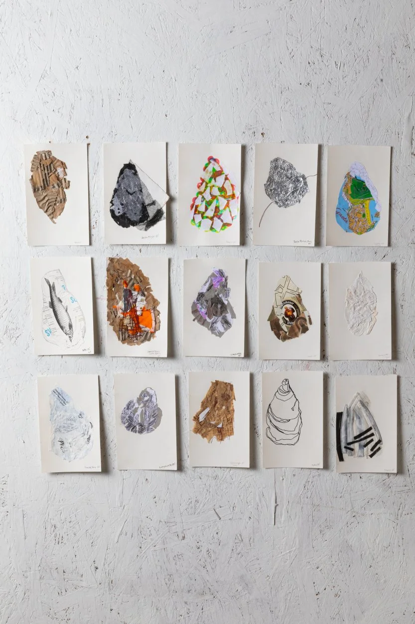 "Oyster Study II", paper and collected objects and materials