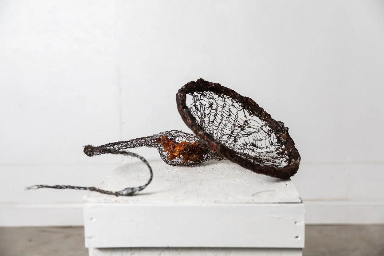 "Impact/Rupture" 2026, wire, wood,found insulation foam, led lure