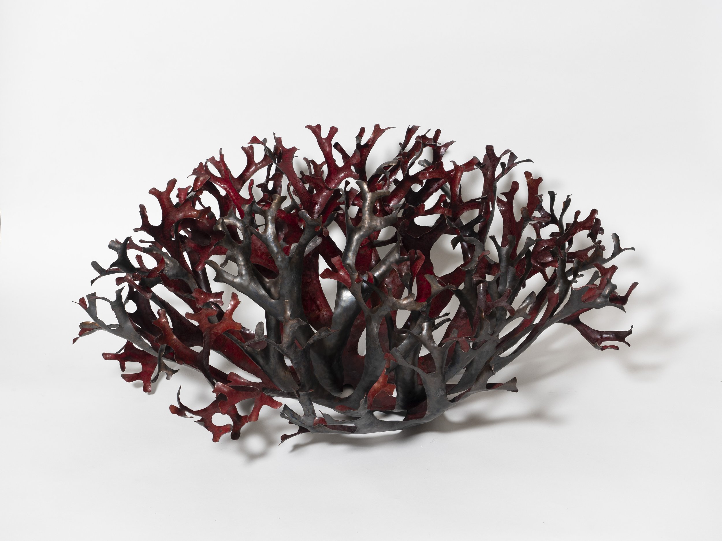  Aron Li “Red Lichen” 