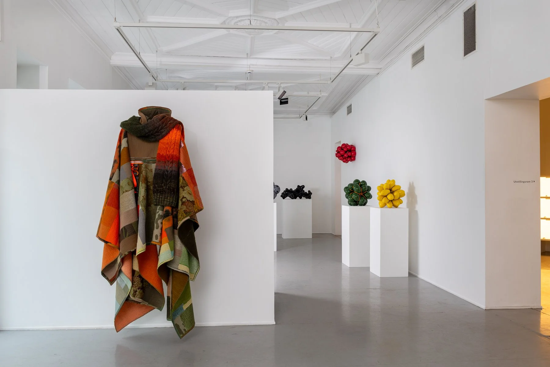 web_Tonje_Plur_Human:Nature_Exhibition_Photo_3_Photo_Thomas_Tveter.jpg.jpg