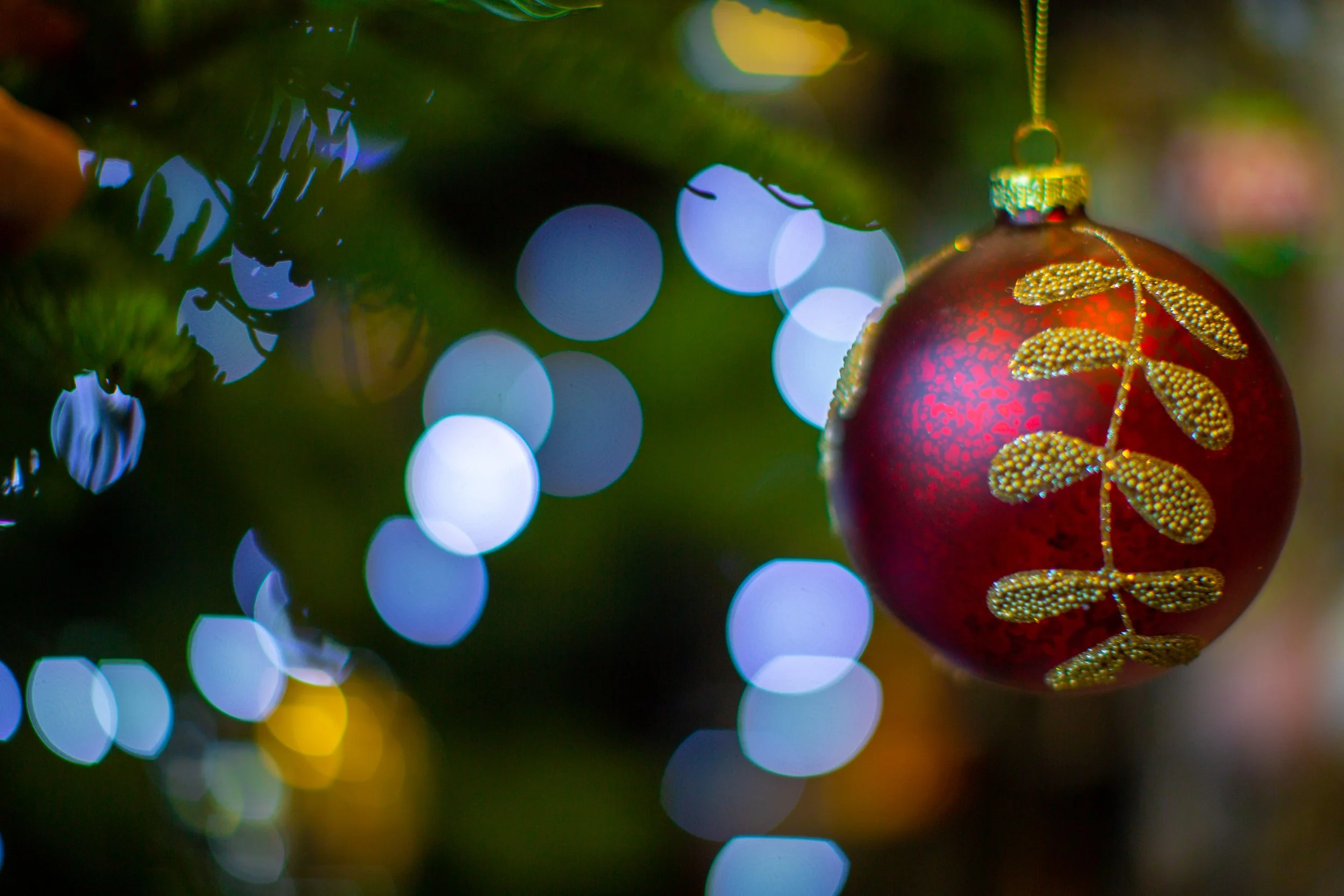 BHAP Christmas 2022-6.jpg