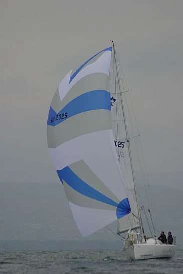 Rommel 33: Maxi Spinnaker, Tri-Radial